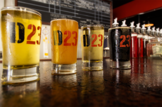 Division 23 Flight