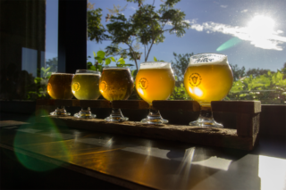Duck Foot Brewing Flight