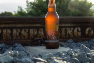 Stone Brewing Ruination IPA